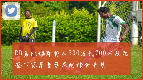 RB莱比锡即将以500万到700万欧元签下苏莱曼萨尼的转会消息